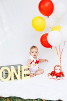 Ollies First Birthday Viewing Gallery